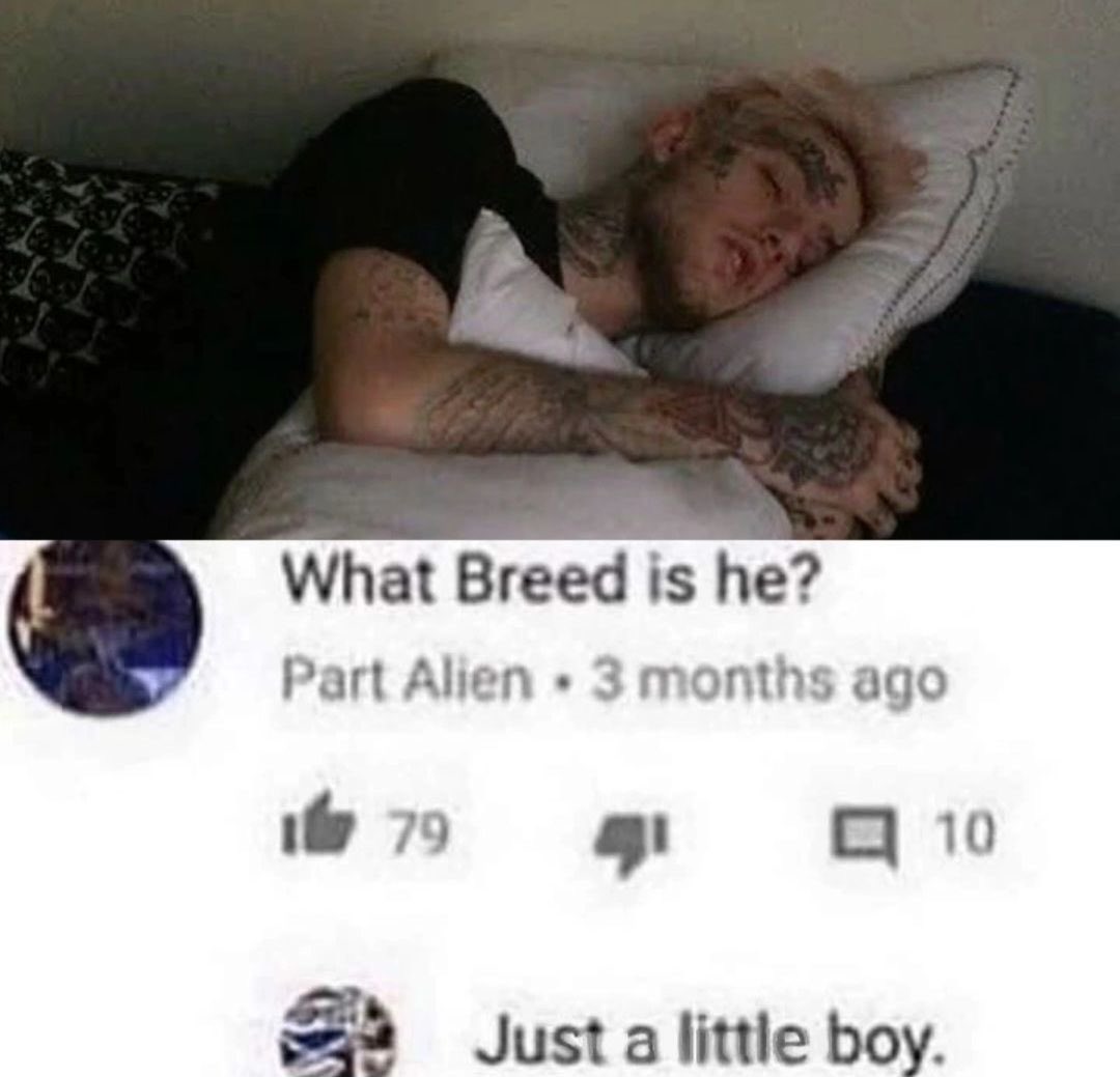 🩷✨MYFAVPEEP✨🩷 tweet media