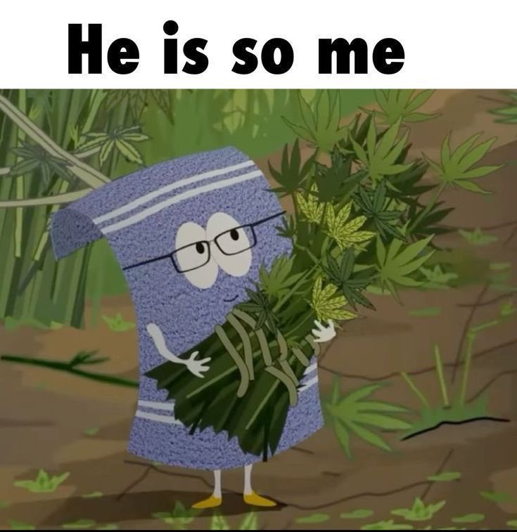 Jeune Fou (@jeunefou94) on Twitter photo 