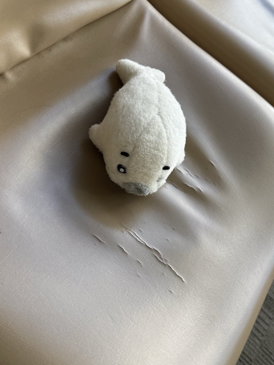 AzarashiLivesEverywhere