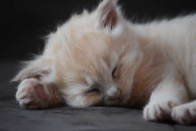 Edgar Right tweet media