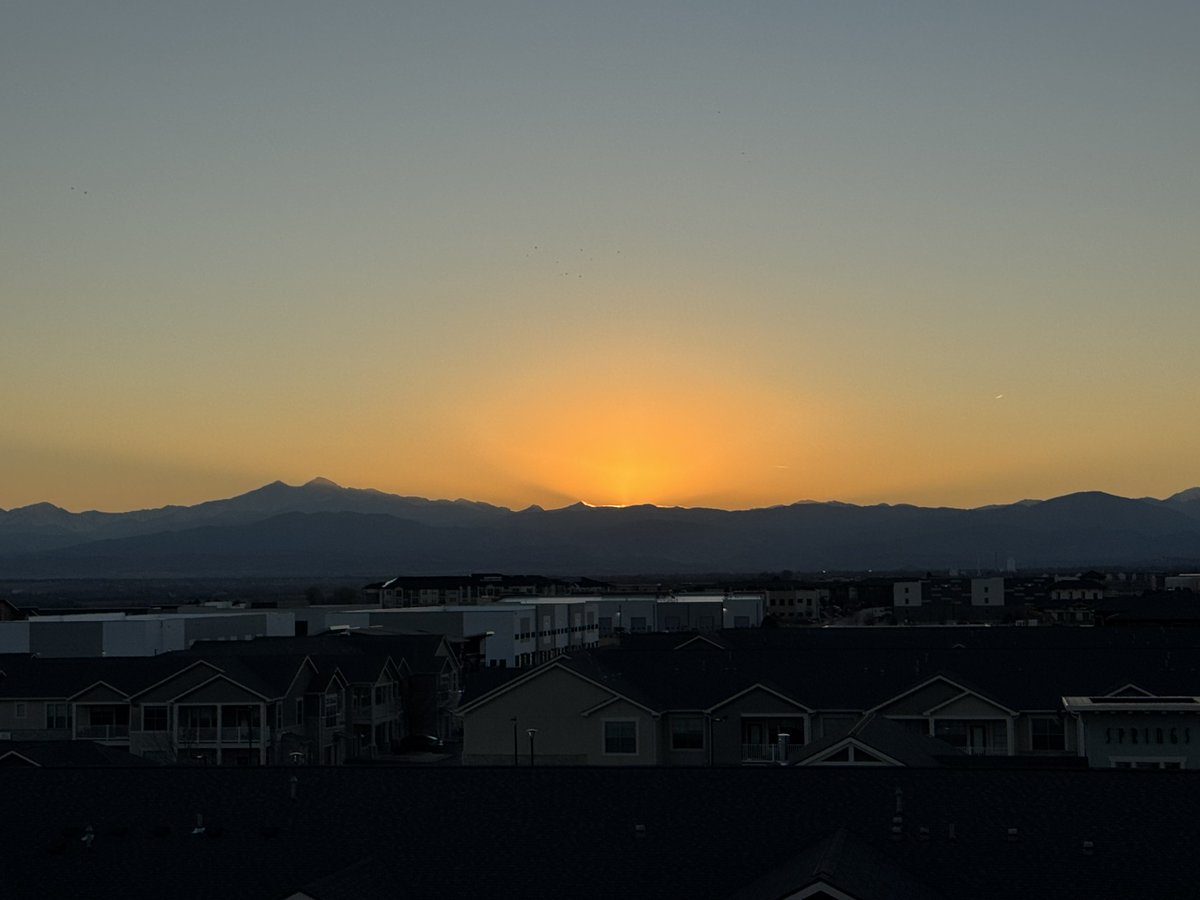 brian herring tweet media