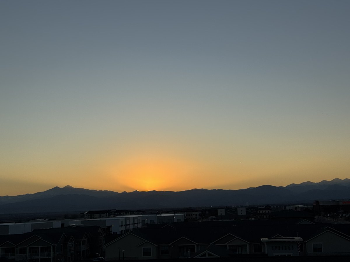 brian herring tweet media