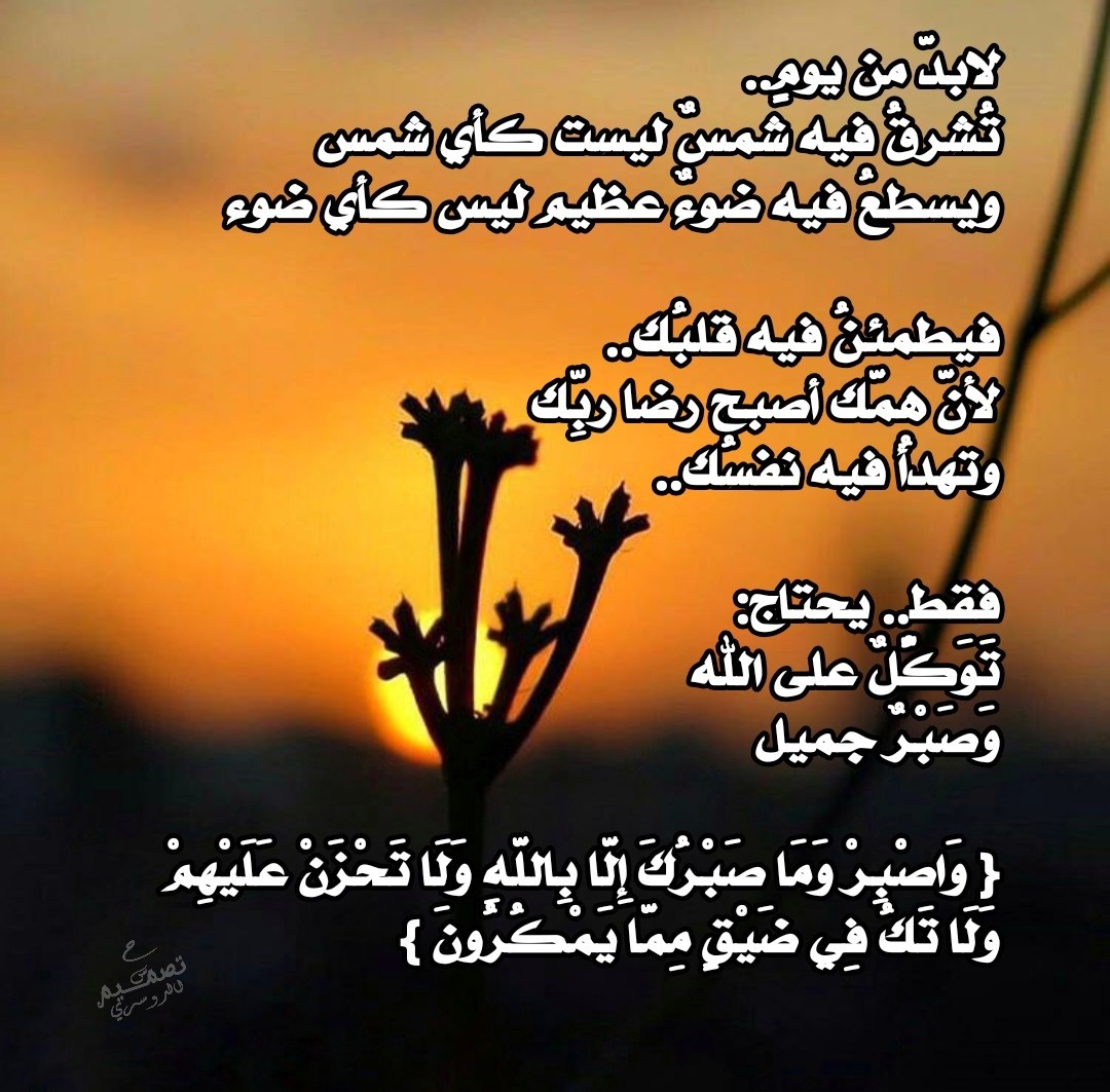 حمد آل فاران الدوسري tweet media