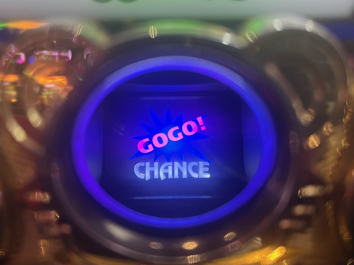 朝は一直線に撮りやすい角を確保しましたが、その後よく見たら連日マイ