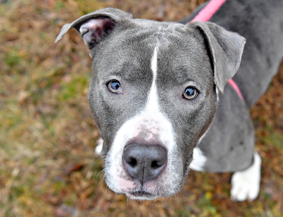 Dawn J. Sagert tweet media