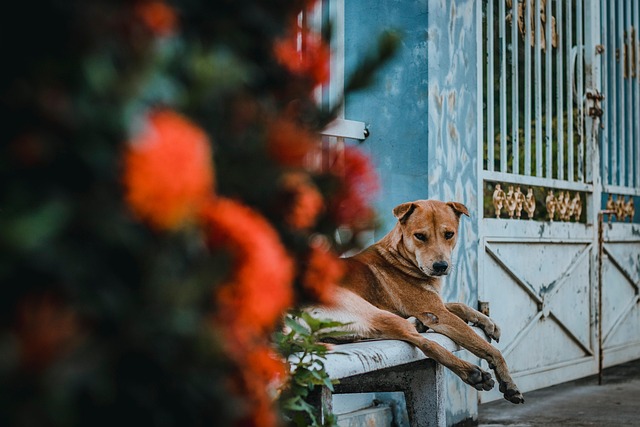 Troy Edwards tweet media