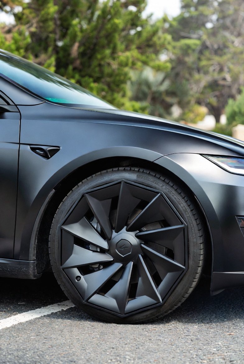 Lily Kittæn tweet media