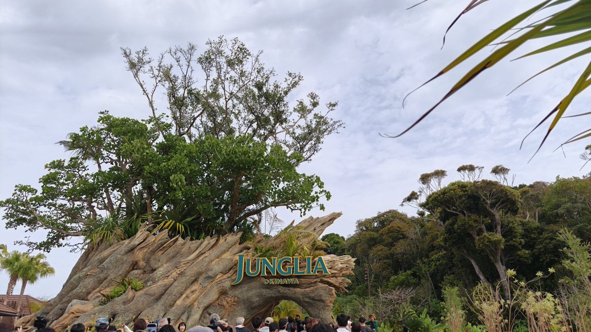 たうてに君【公式】 (@tautenikun) / Posts / X