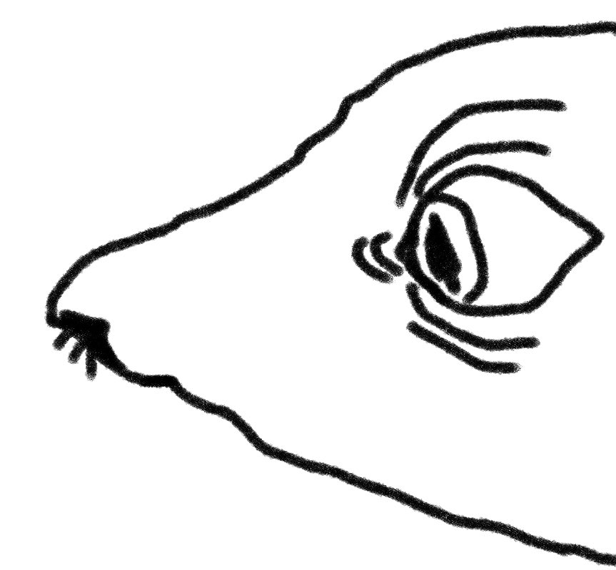 戸桝有馬 tweet media