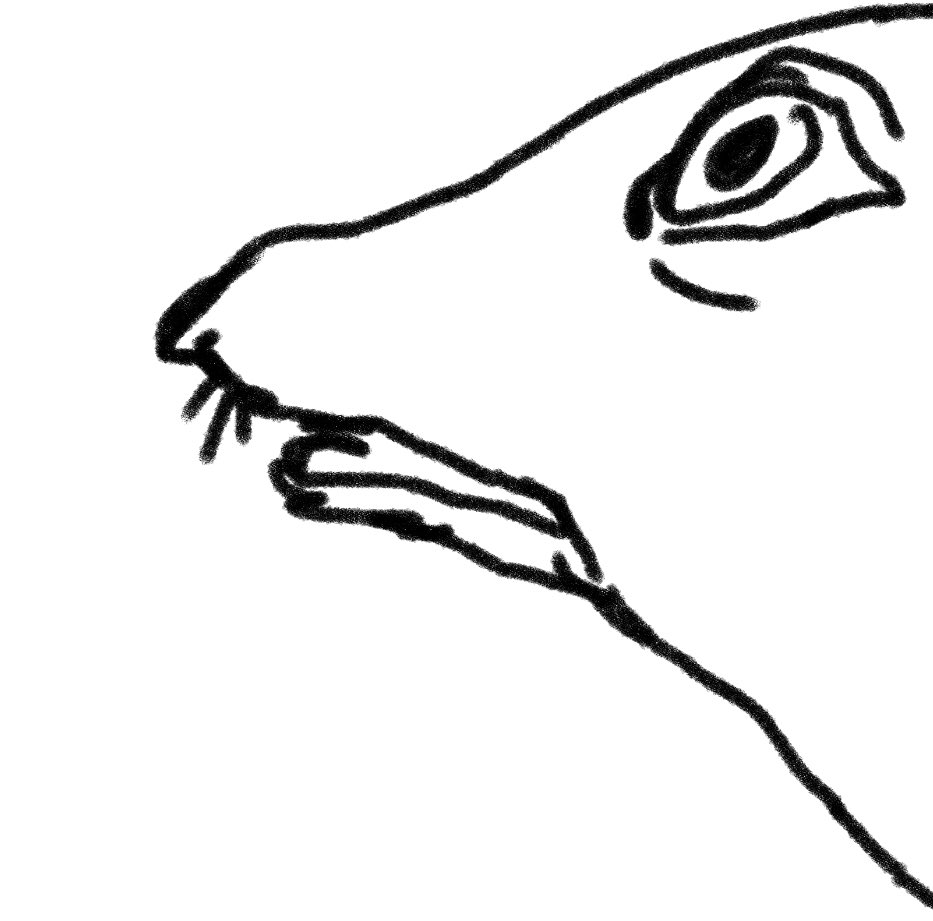 戸桝有馬 tweet media