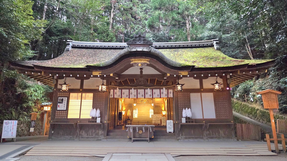 みるタンく tweet media