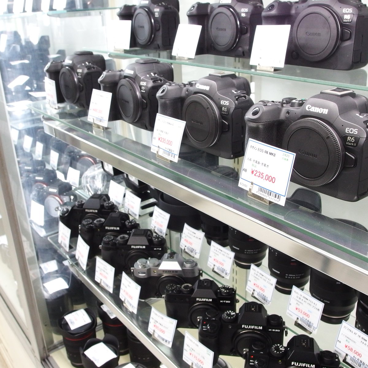 📸おはようございます🌹🤩🌸／ 本日もチャンプカメラは全店元気に営業