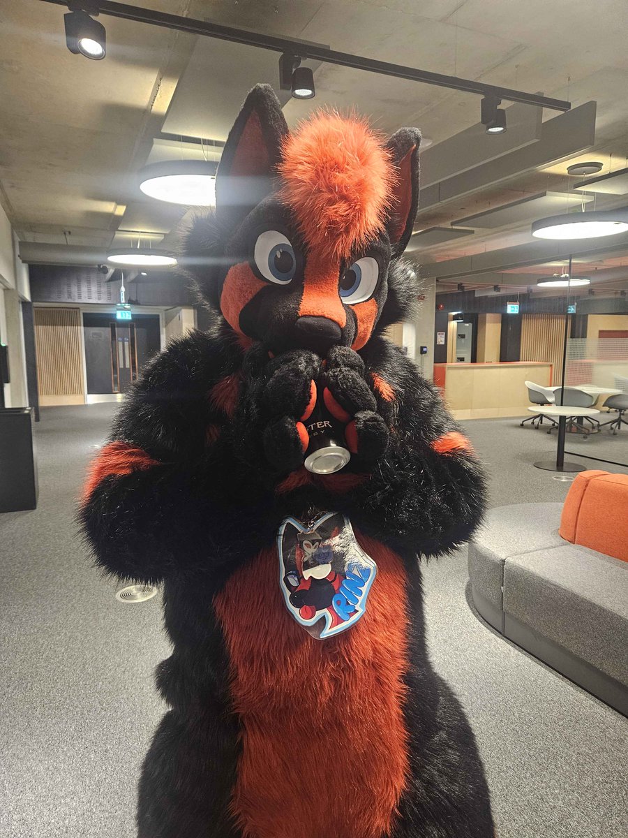 Rinz / Prisma 🔜 Confuzzled 2026 tweet media