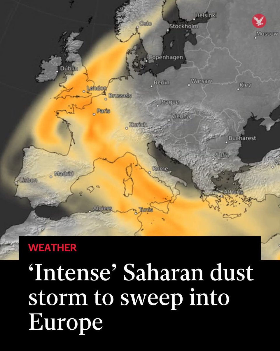 Mo London tweet media