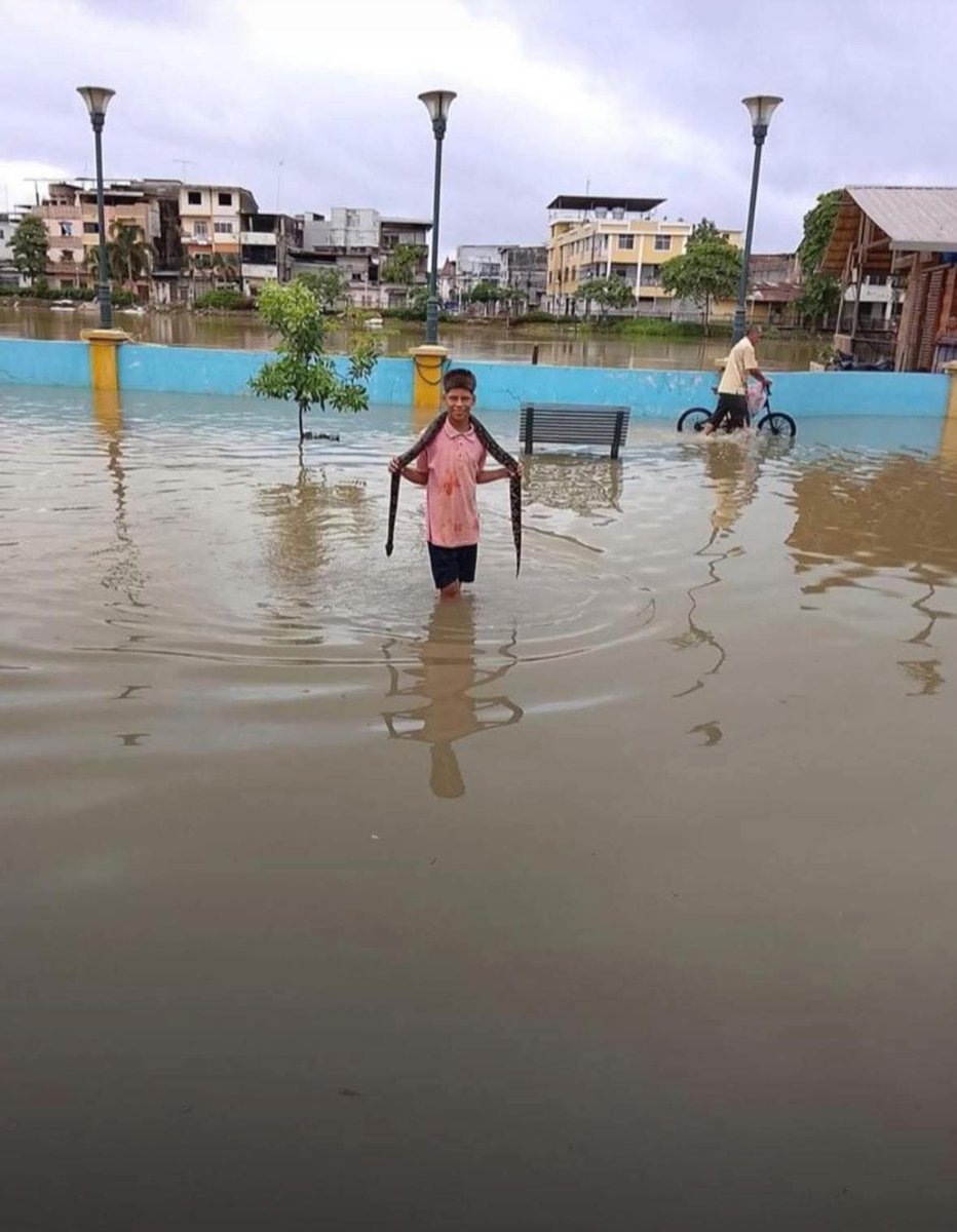 #ATENCIÓN🔴

Por fin un niño sin celular, #Eimer desde la ciudad de #Babahoyo, es viral en redes sociales.