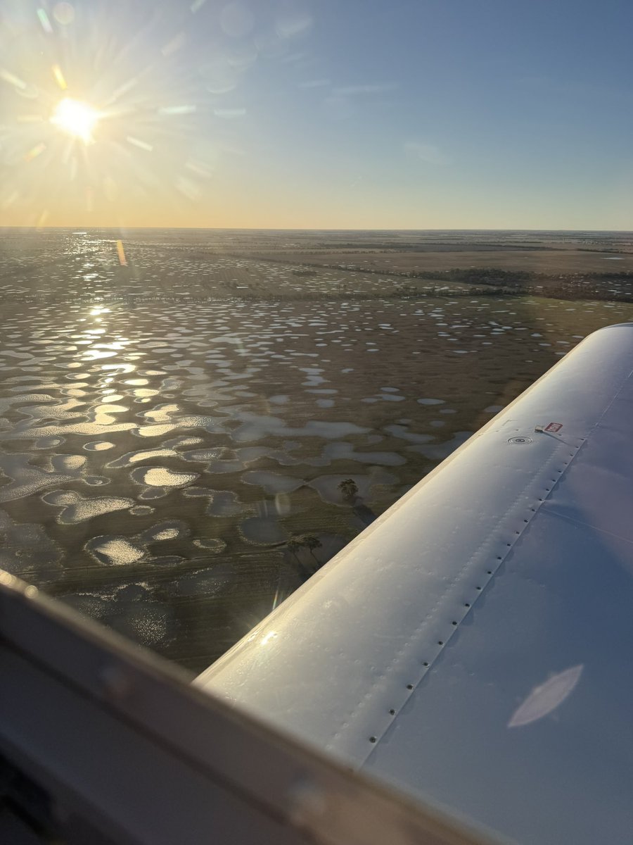 Matt Witney tweet media