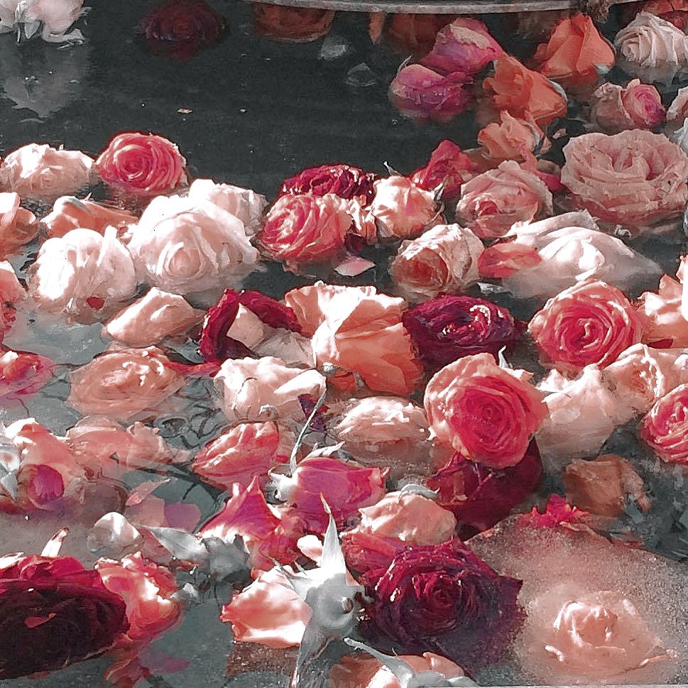 𝐌𝐀𝐍𝐙𝐀𝐍𝐀 .ᐟ.ᐟ tweet media