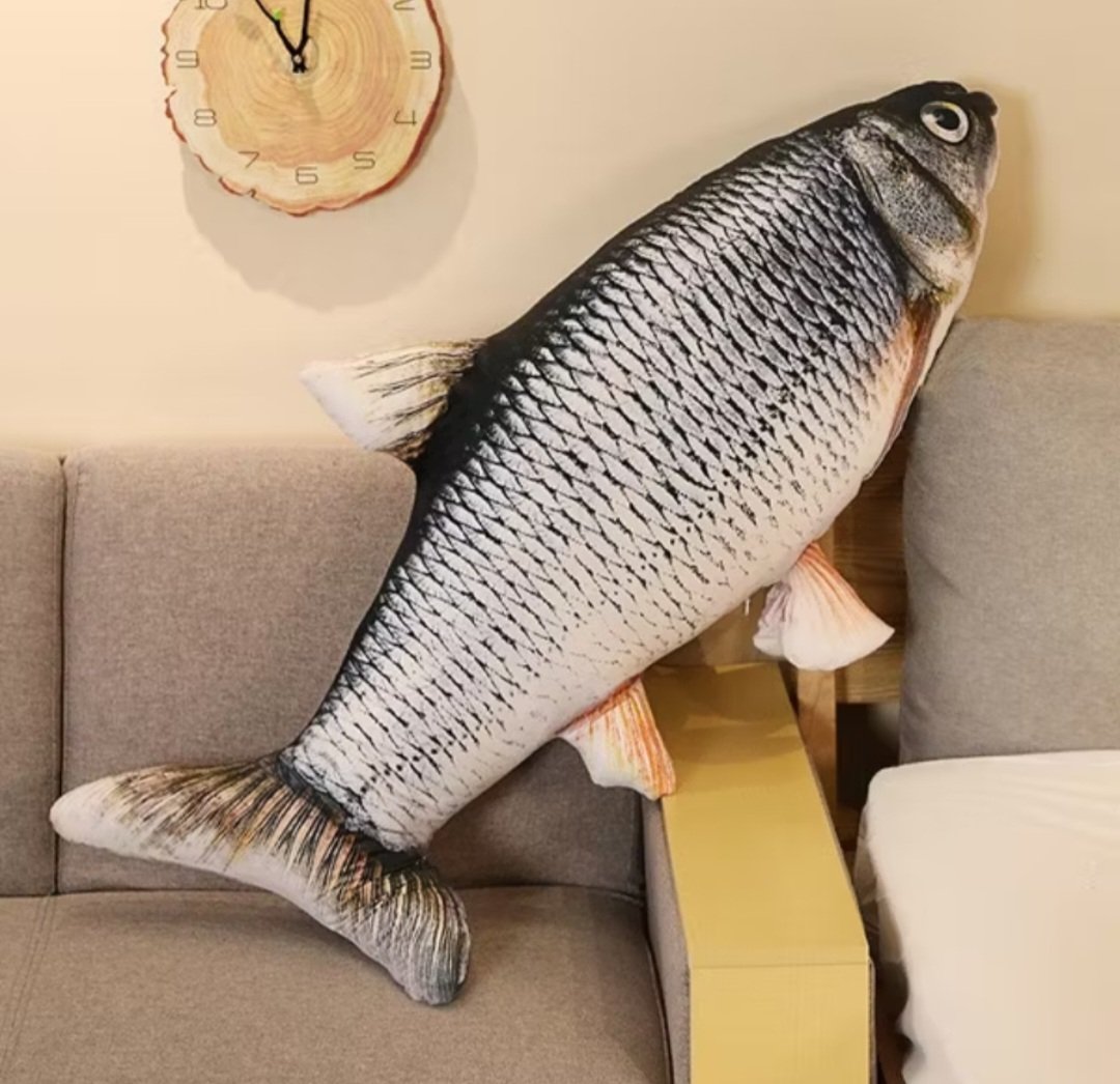 Tiny Shelly tweet media