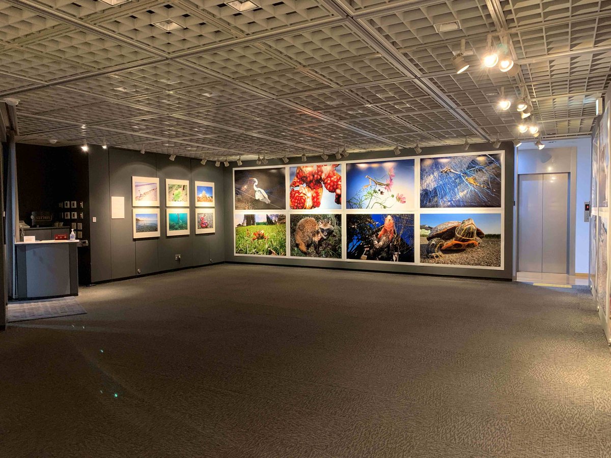 aidemsirius's tweet photo. 松井 一泰　写真展「ドリームランド」
期間：2026/03/05(木)～2026/03/11(水)

身の周りや外出先などでも、面白いものはたくさんある！と気づく写真展。思わず見入ってしまう大迫力の作品をお楽しみください。

#写真展　#新宿御苑前 https://t.co/KA1P7vbE5N