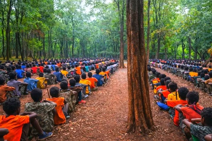 JaalaataS's tweet photo. Baga gammaddan, baga gammanne
#Zooniin_Kibba_baha_oromiyaa harka tokkoon diina kokkee qabaa harka tookkoon immoo dhaloota #qaree qara baasee eebbisiiseera.
#ABO_W30n_haa_waaru.!! https://t.co/qIN8rFpqBA
