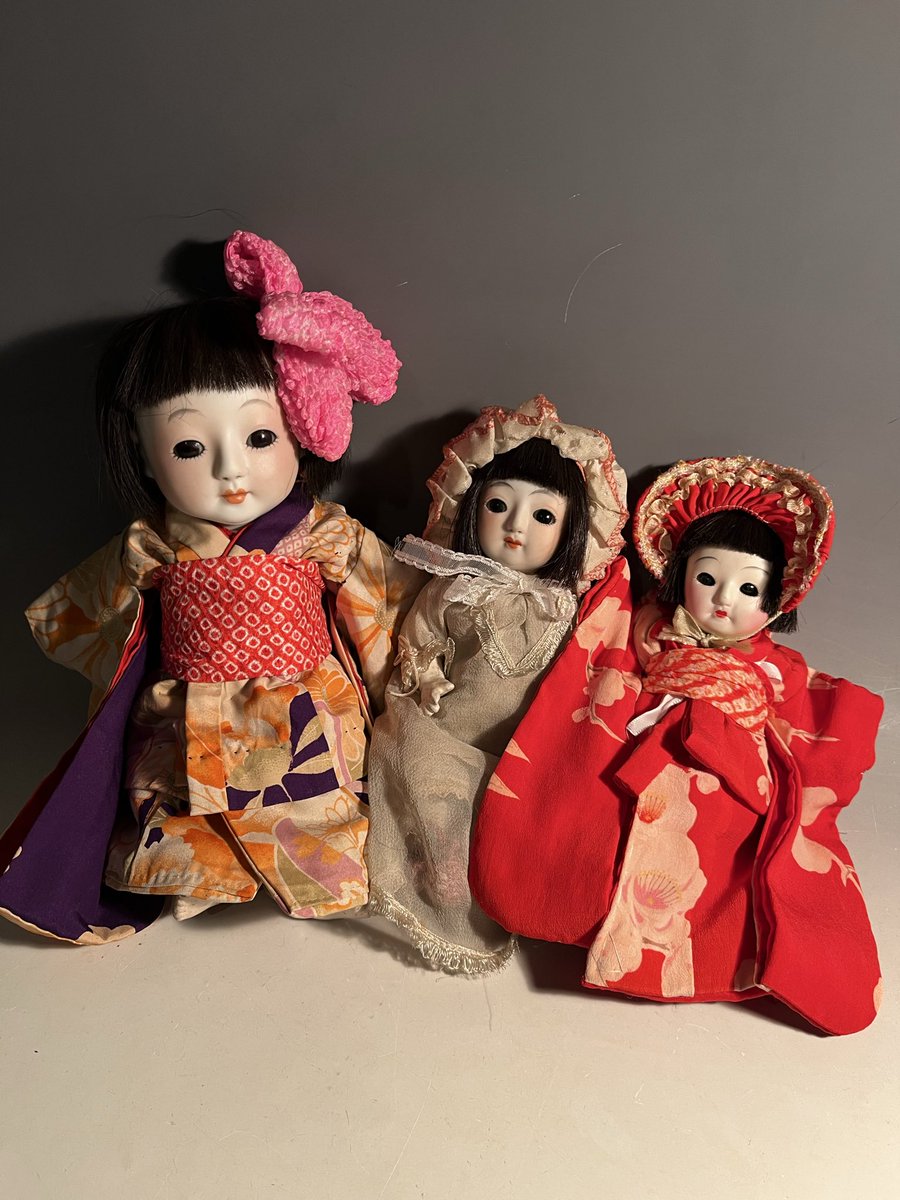 サクラビスク入荷いたしました😸 どの子も可愛い😍 詳細はDMにてお