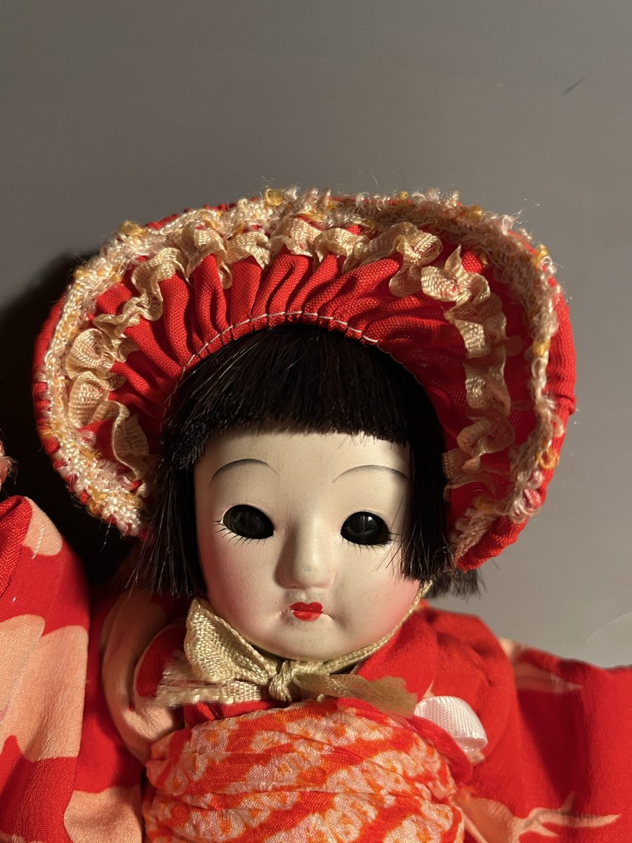 サクラビスク入荷いたしました😸 どの子も可愛い😍 詳細はDMにてお