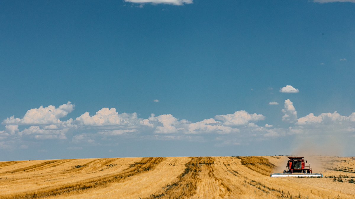 The Sum & Substance tweet media