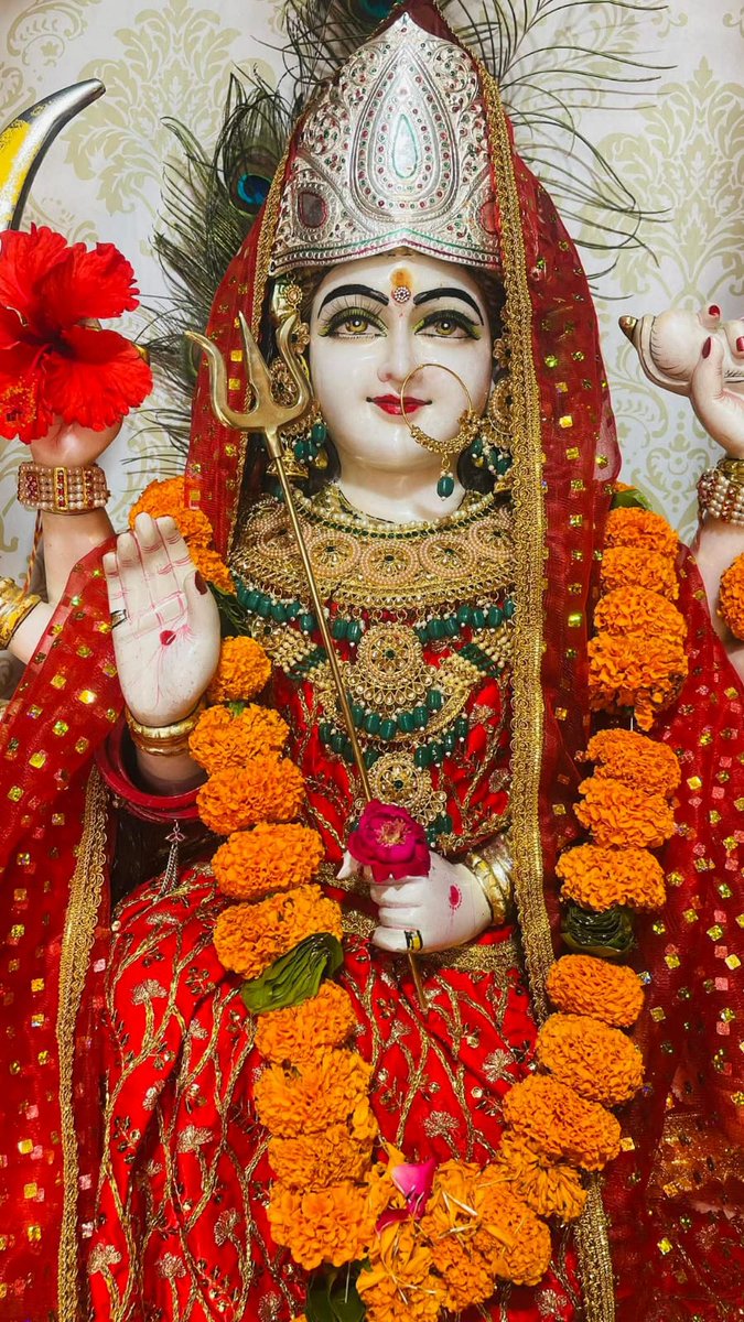 Ashi Patel 🇮🇳 tweet media