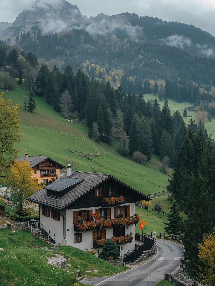 Purely Green tweet media