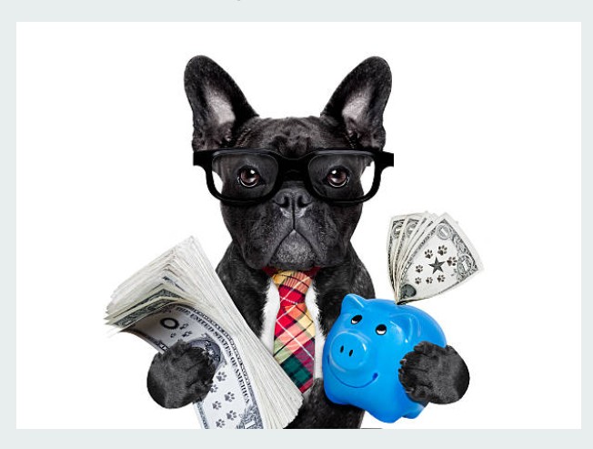 RICH DOG tweet media