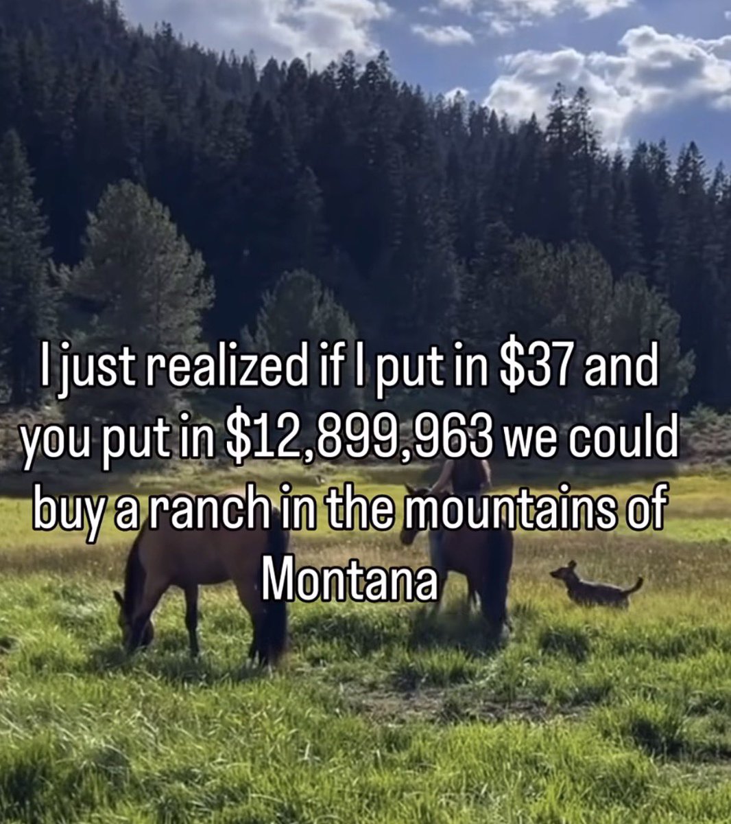 Rothmus's tweet image. 