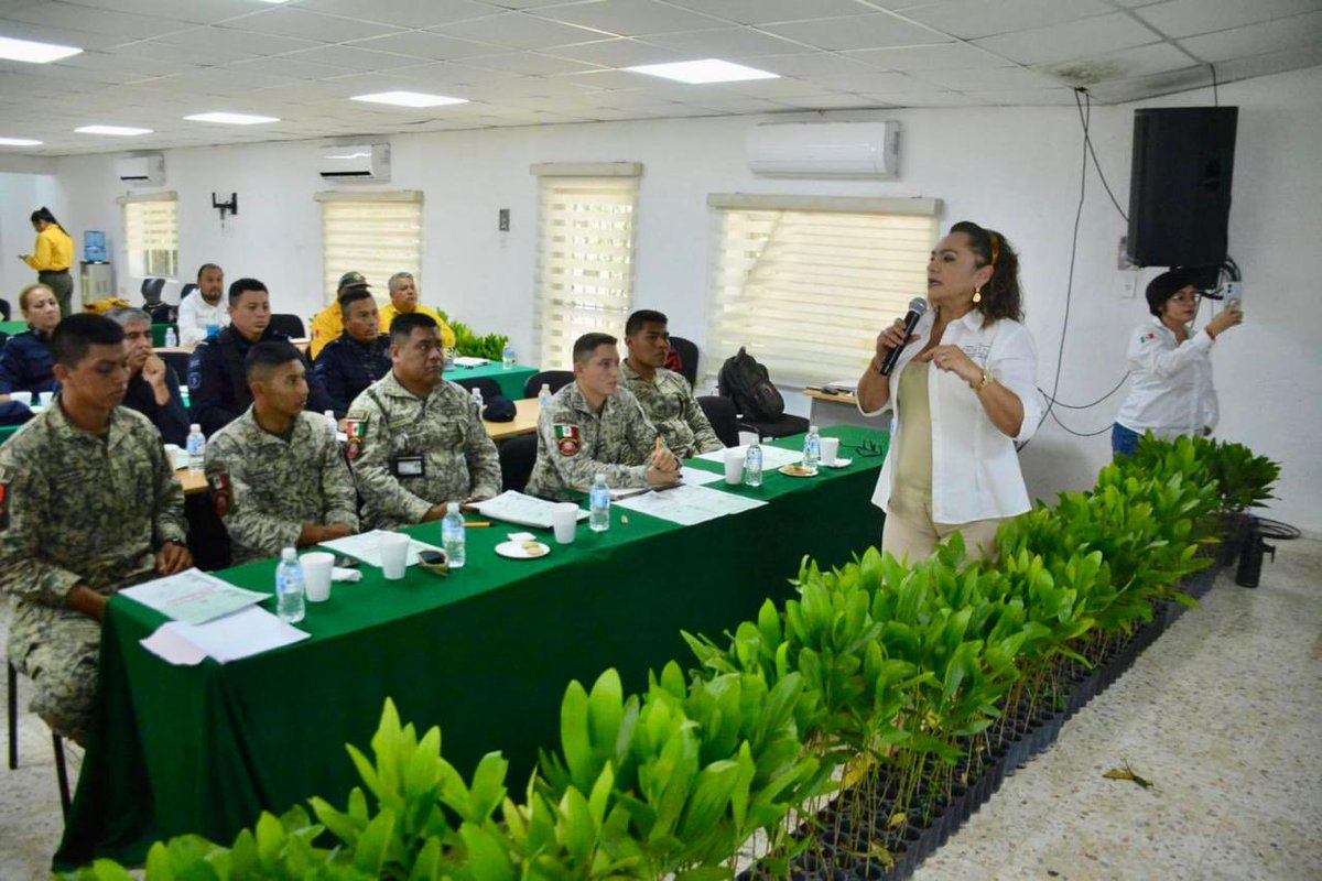 GSandovalSalas's tweet photo. 👮‍♂️📚 Personal de la Oficina de Representación de @SEMARNAT_mx en #Tabasco, impartió una capacitación especializada a las Fuerzas Armadas Mexicanas para combatir la tala ilegal y el transporte irregular de recursos forestales 🪵.  

Durante esta jornada, reforzamos las capacidades operativas en la identificación de documentación con papel de seguridad, cubicación de madera y el reconocimiento de especies protegidas bajo la NOM-059. Además, abordamos la seguridad en el manejo del fuego conforme a la normativa vigente, con el fin de anticiparnos a la temporada de incendios forestales 🔥.

¡Con mejor preparación técnica y coordinación institucional, protegemos el patrimonio natural de las y los tabasqueños!