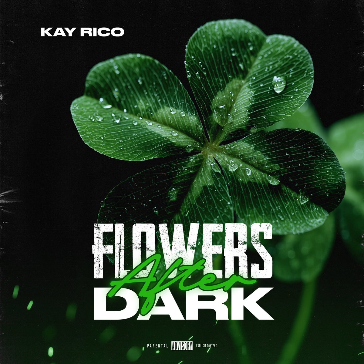 Kay Rico tweet media