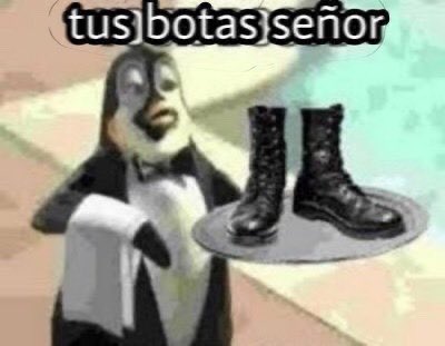 Vince Mancini tweet media