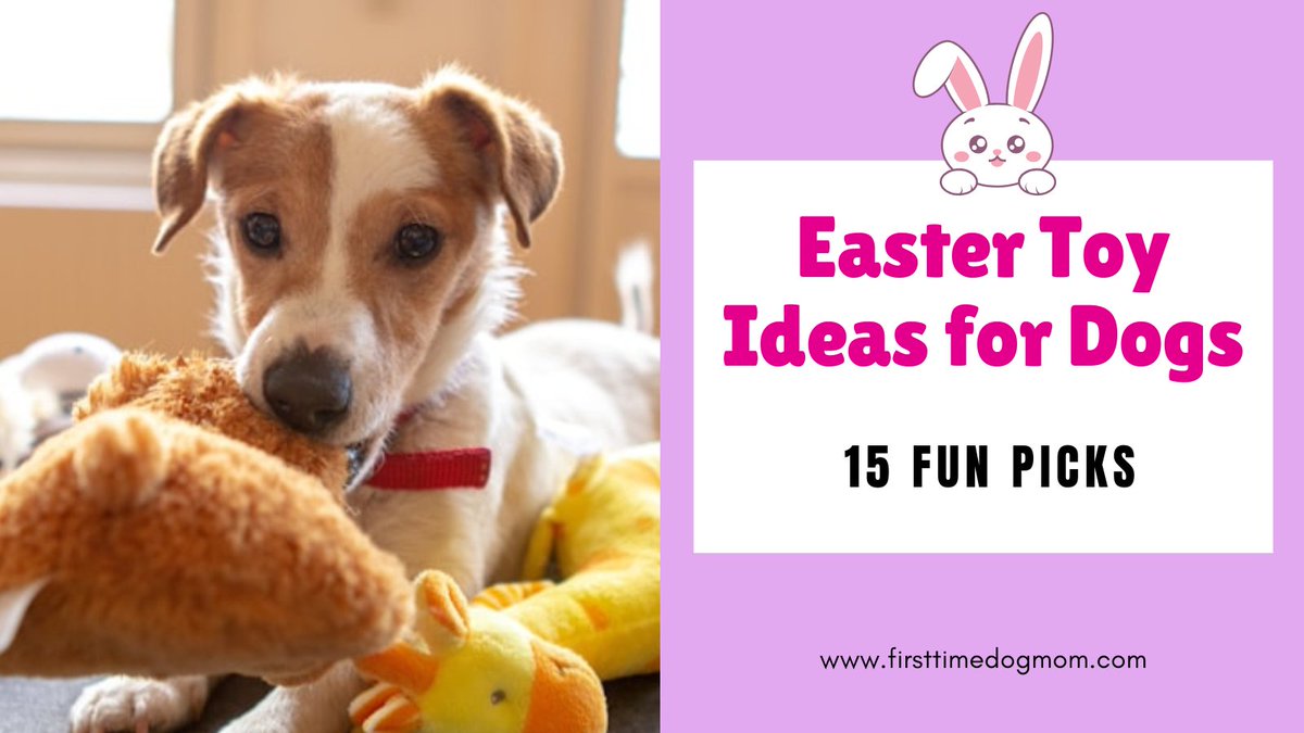 Looking for the perfect Easter basket for your dog? Check out 15 fun and safe Easter toys that will make your pup’s holiday extra special.
firsttimedogmom.com/easter-toys-fo…
#DogEasterBasket #DogToys #PetGifts #SpringFun