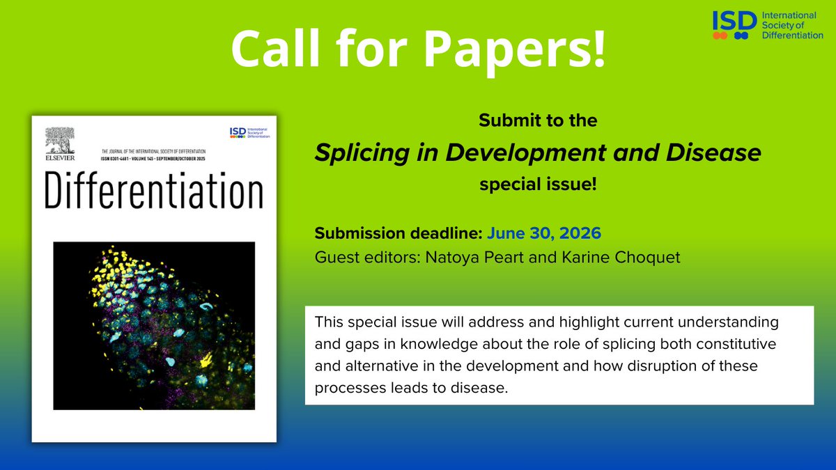 Differentiation Journal tweet media