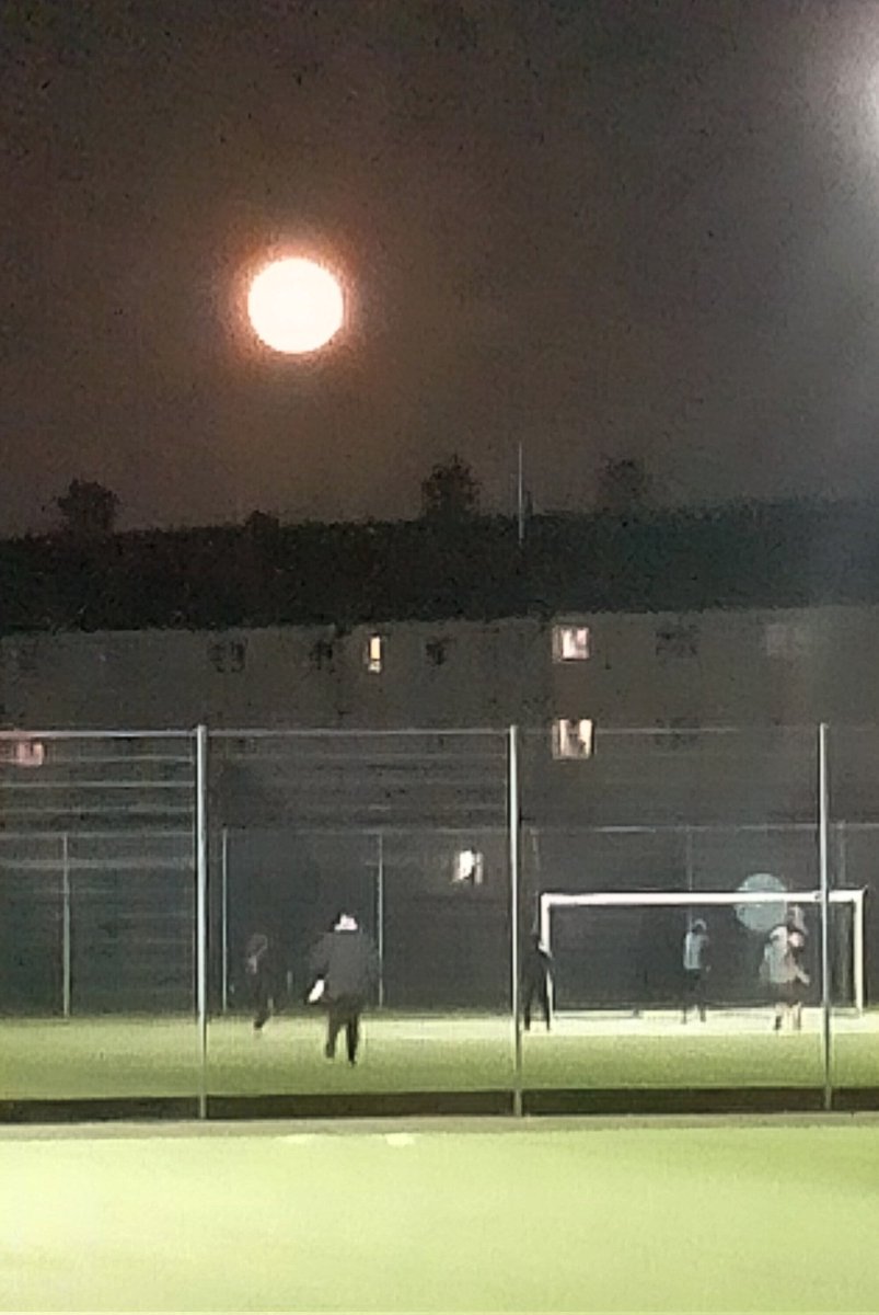 Nick Rodger tweet media