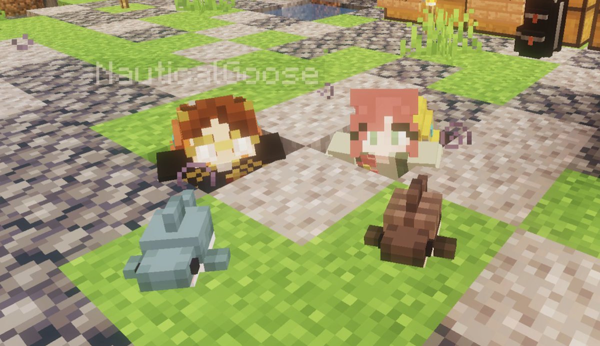 NauticalGoose tweet media