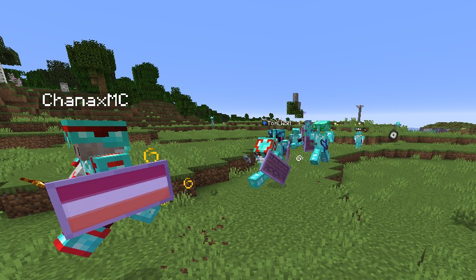 ChanaxMC tweet media