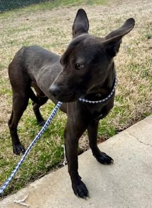 Donna Lac tweet media