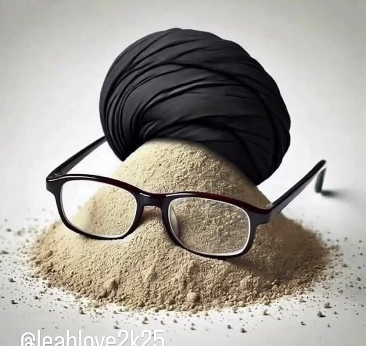 Not Miss America tweet media