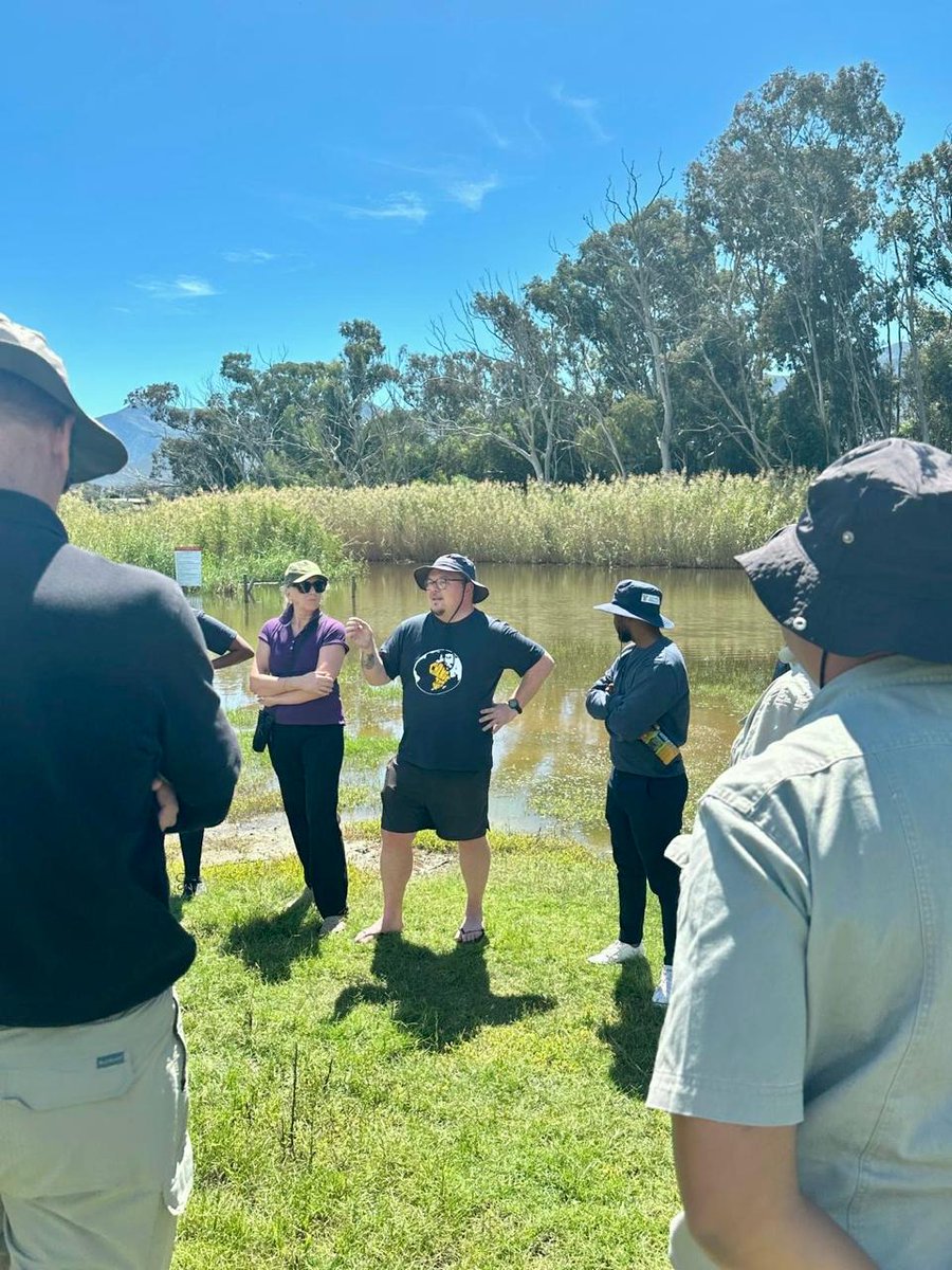 DSI/NRF SWE Research Chair tweet media