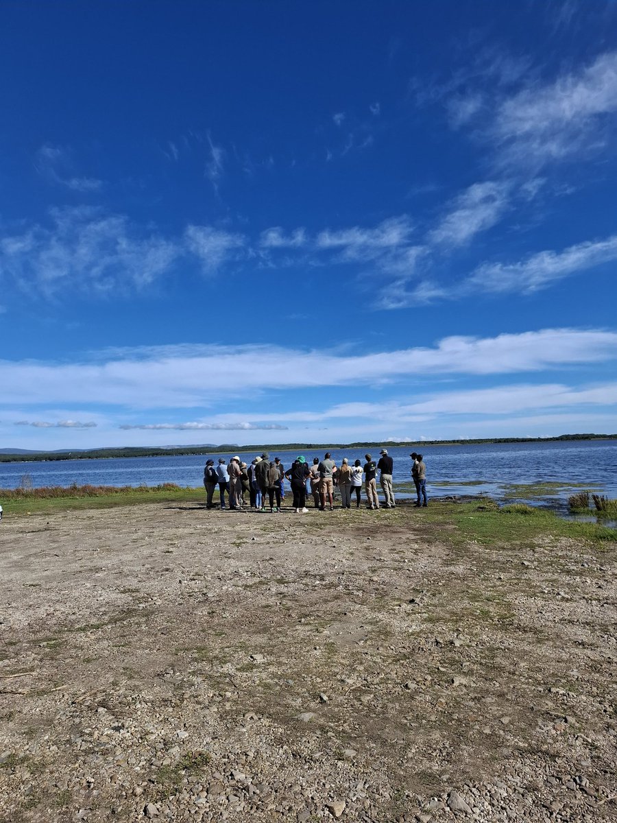 DSI/NRF SWE Research Chair tweet media