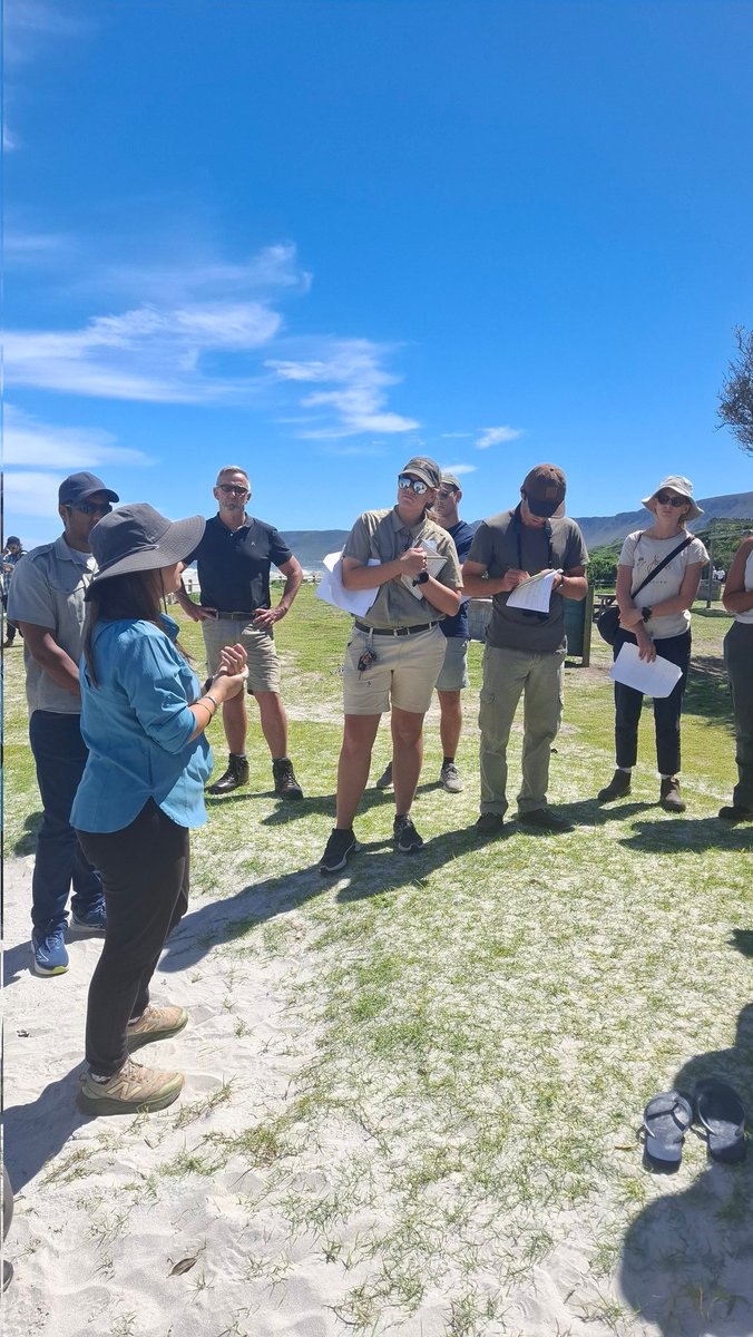 DSI/NRF SWE Research Chair tweet media