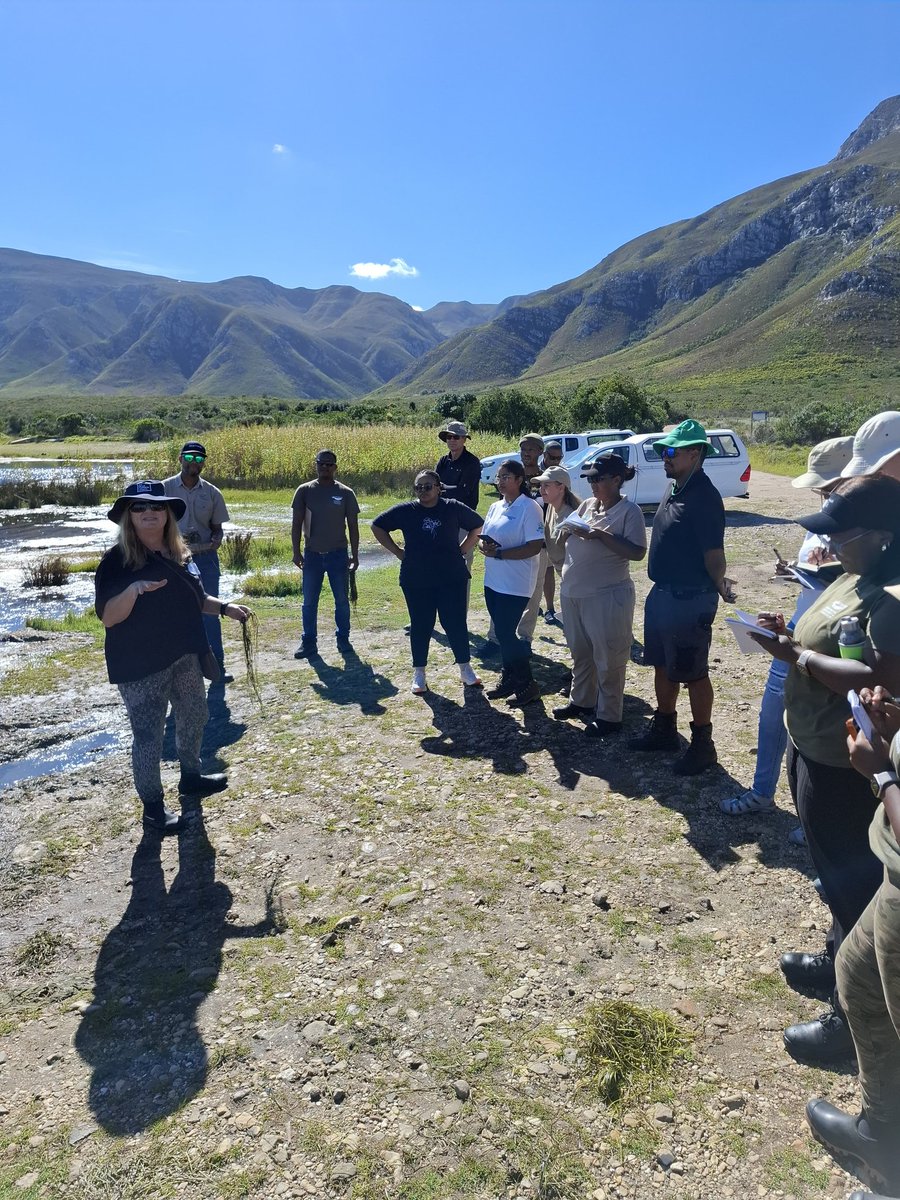 DSI/NRF SWE Research Chair tweet media