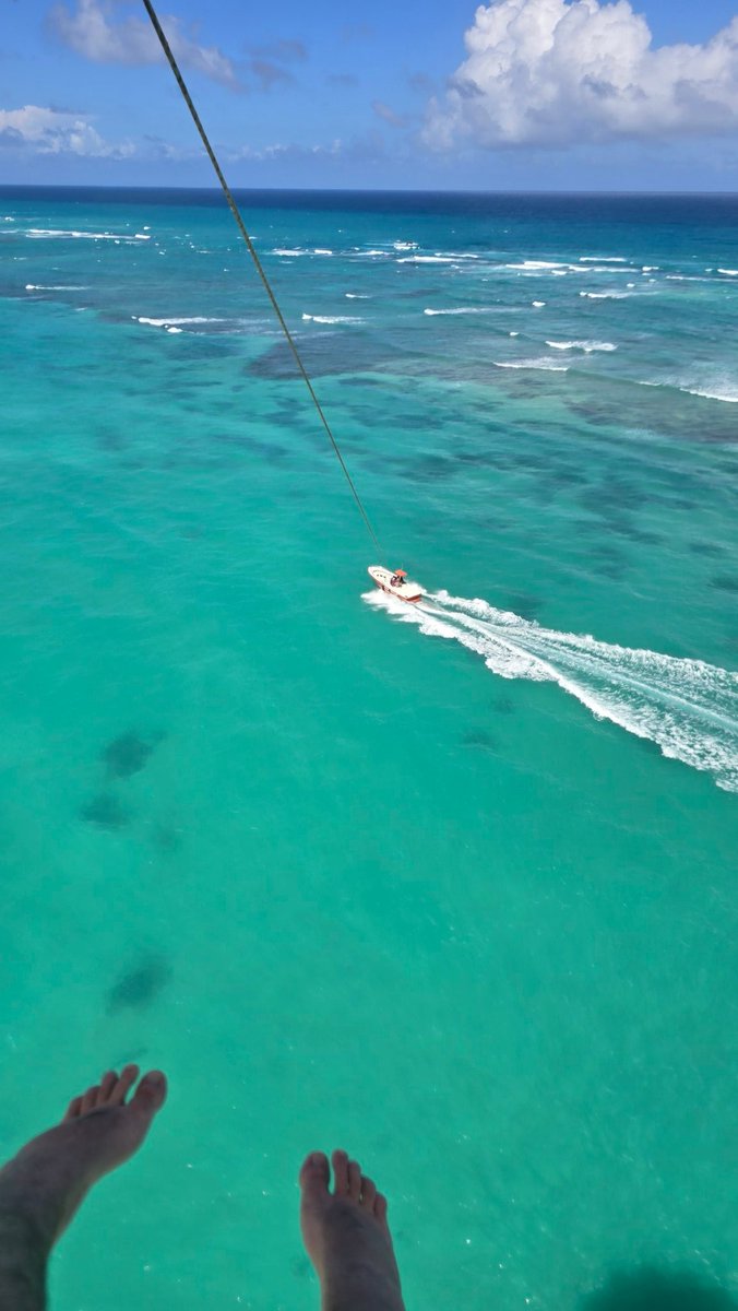 Victor "V2" tweet media