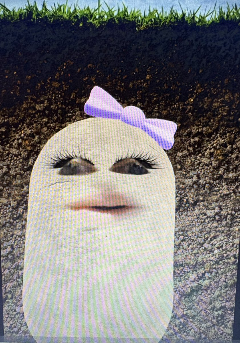 Reading at Swingate 📚 tweet media