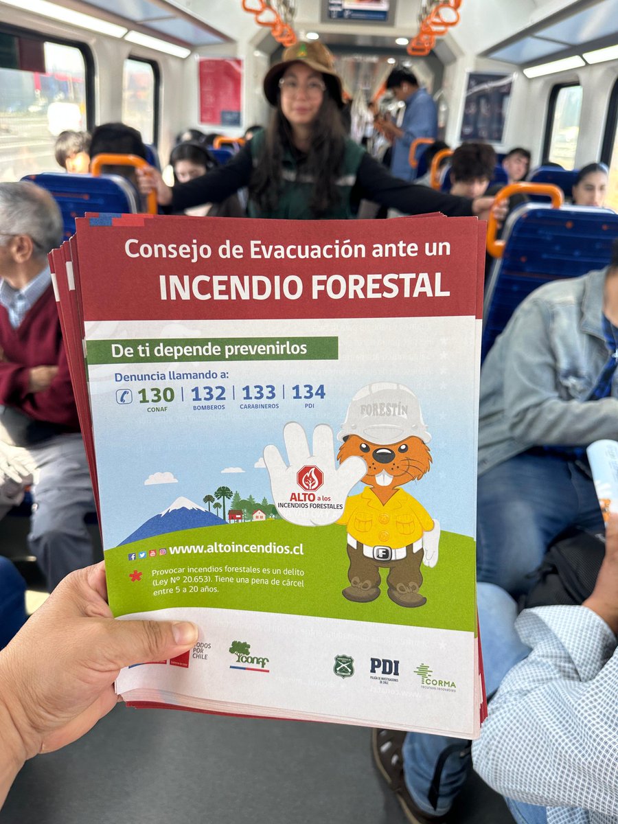 CONAF Biobío tweet media