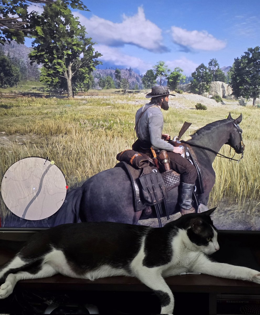 Be Red Dead Redemption 2 - A masterpiece - Insanely detailed world ...