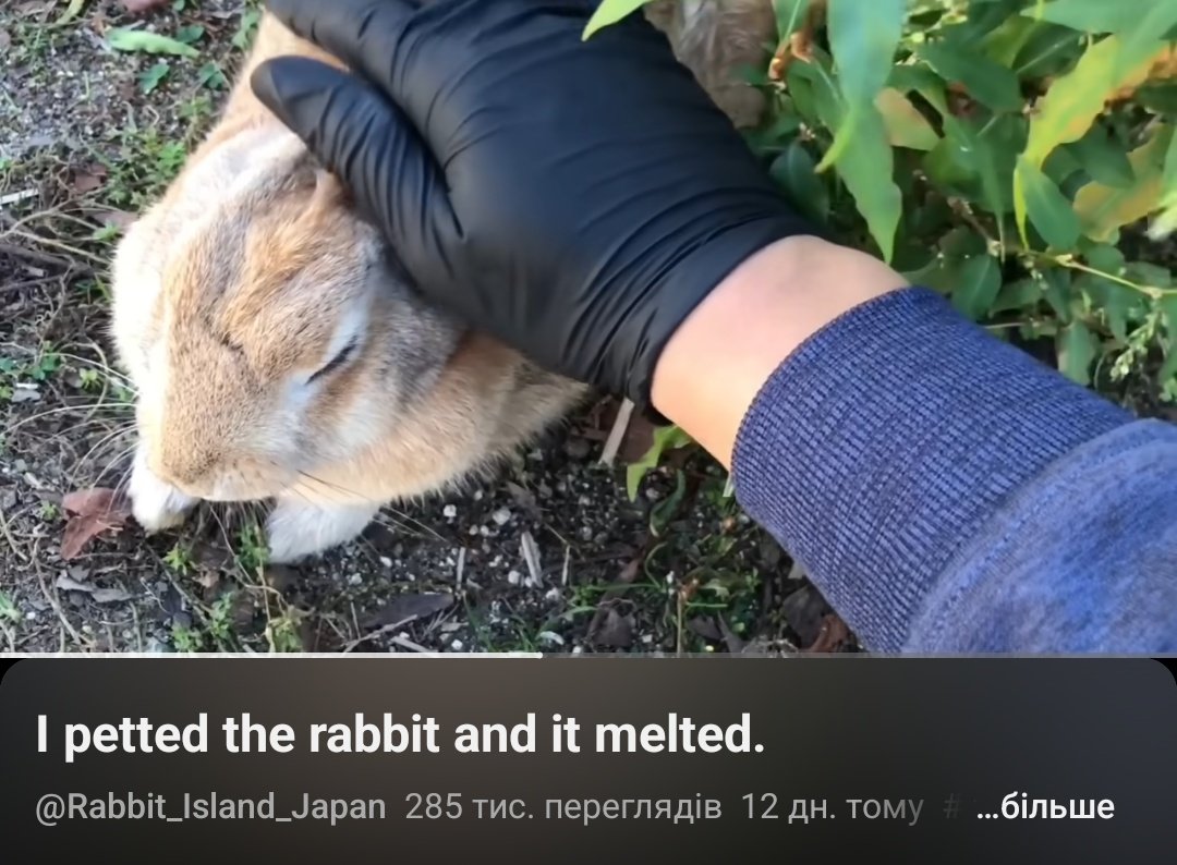 AriLegendary 🏳️⚧️🇺🇦 tweet media